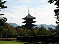 Nara - Kofuku-ji - The five-stories pagofa.JPG