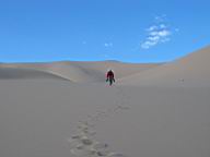 02 - Khongorin Els - Dune walk.JPG